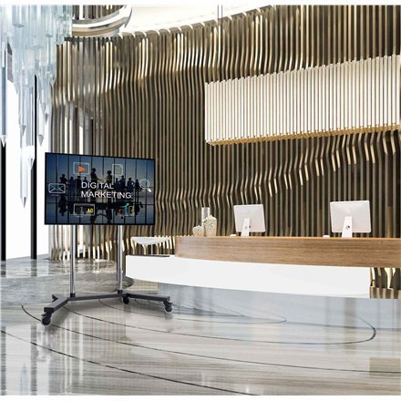 EDBAK | TR18 | Wózki i stojaki | 60-98 " | Maksymalna waga (udźwig) 80 kg | Czarny