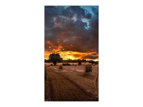 Samsung | VM46B-U | 46 " | Landscape/Portrait | 24/7 | N/A | 500 cd/m² | 8 ms | 178 ° | 178 °