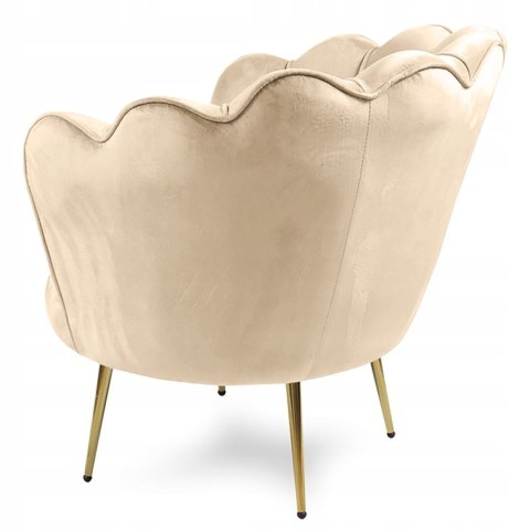 Krzesło Fotel Muszla Lugano DONNA VELVET BEIGE