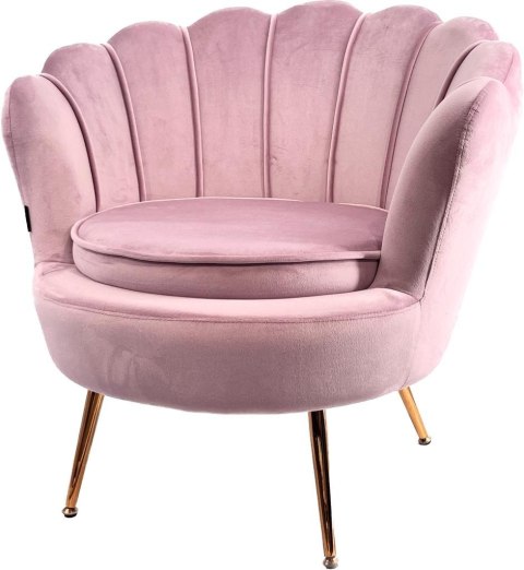 Krzesło Fotel Muszla Lugano DONNA VELVET PINK OUTLET