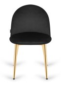 Krzesło tapicerowane GLORIA BLACK VELVET GOLD