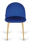 Krzesło tapicerowane GLORIA BLUE VELVET GOLD