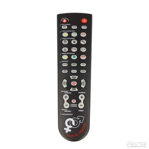 Gadający Pilot Steruj Kobietą prezent kawalerski