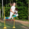 Hobby Horse Skippi - Gniado - srokaty A5 - z kantarem i wodzami - polski